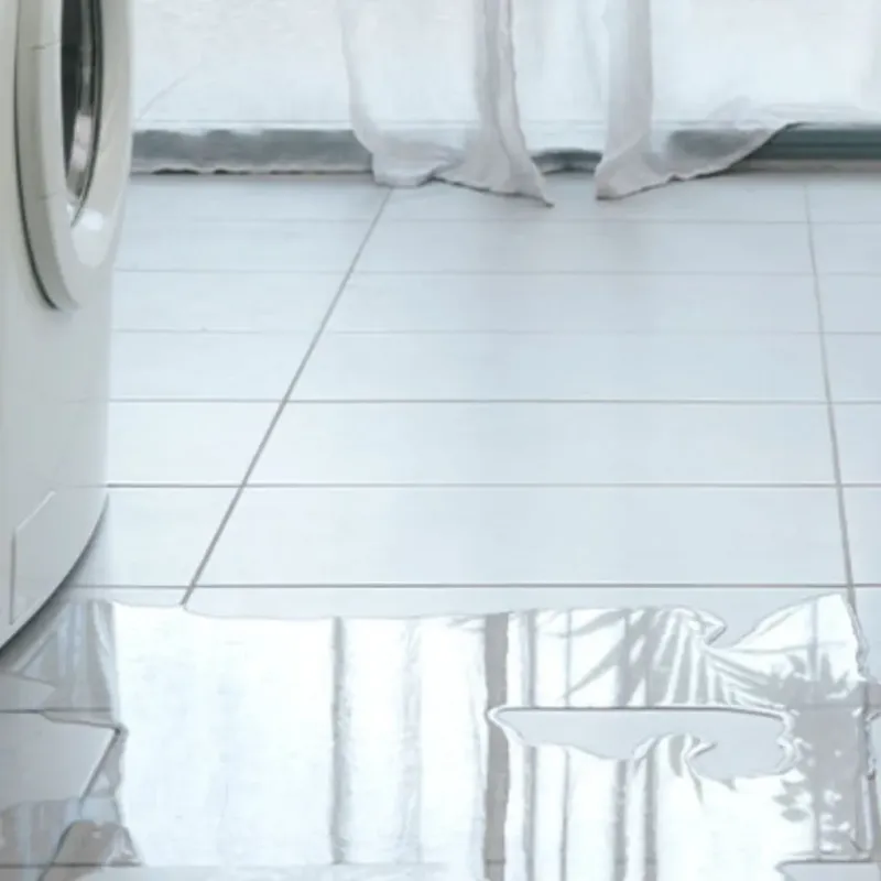 Appliance Leak Cleanup in White Sulphur Springs, WV