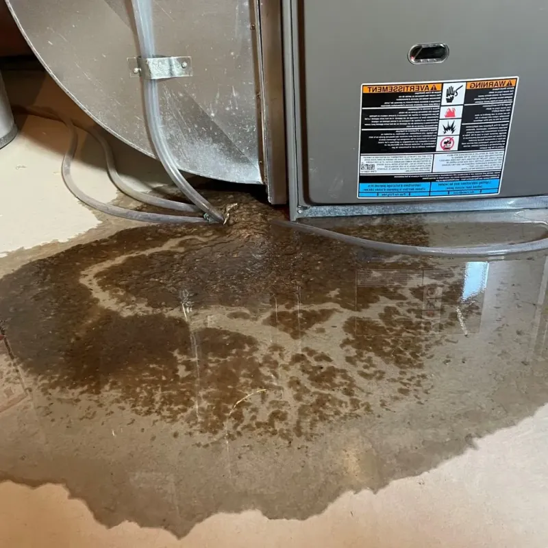 Pipe Burst and Leak Restoration in White Sulphur Springs, WV