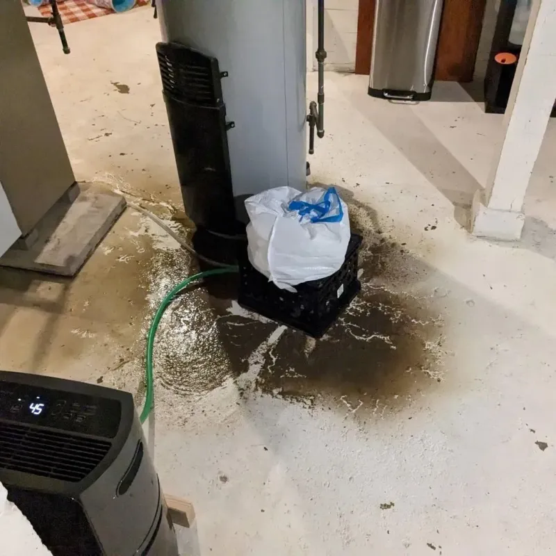 Sewage Backup Cleanup Service in White Sulphur Springs, WV